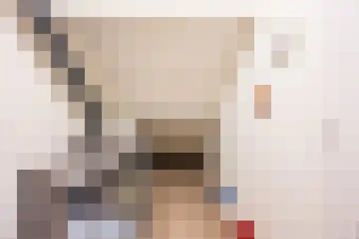 Perelaar 1 Veghel thumbnail 28