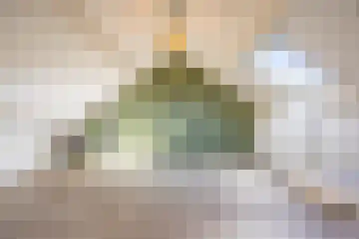 Perelaar 1 Veghel thumbnail 30