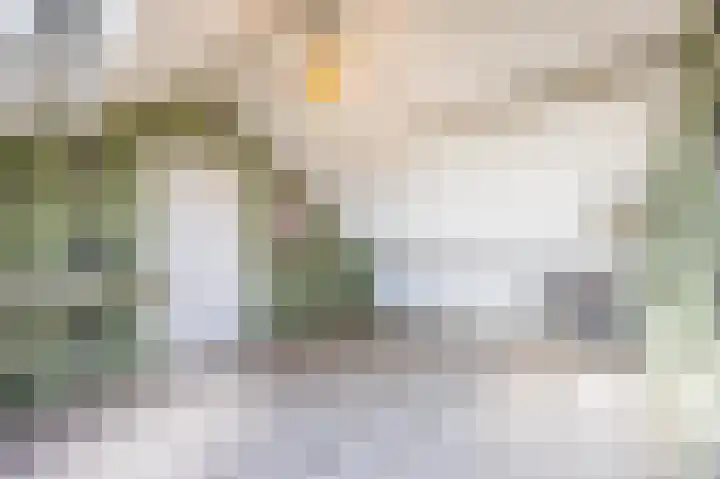 Perelaar 1 Veghel thumbnail 31