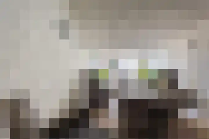 Perelaar 1 Veghel thumbnail 35