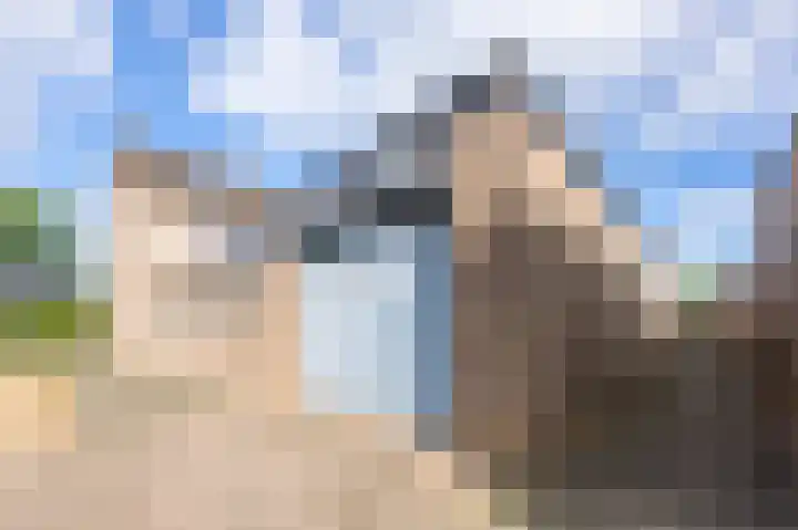 Perelaar 1 Veghel thumbnail 38