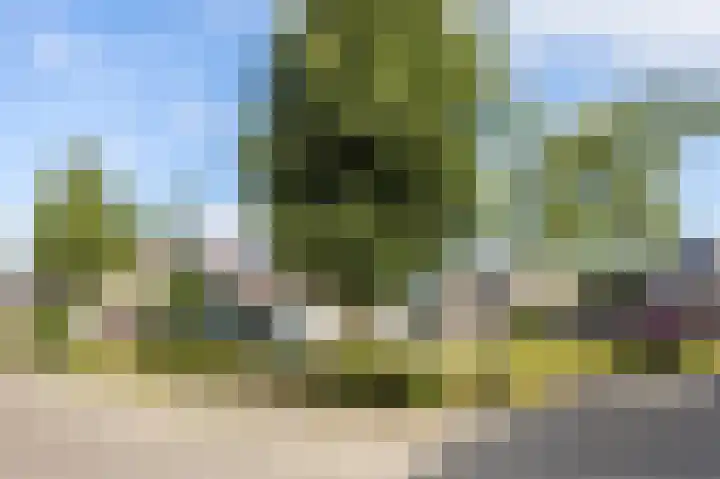 Perelaar 1 Veghel thumbnail 43