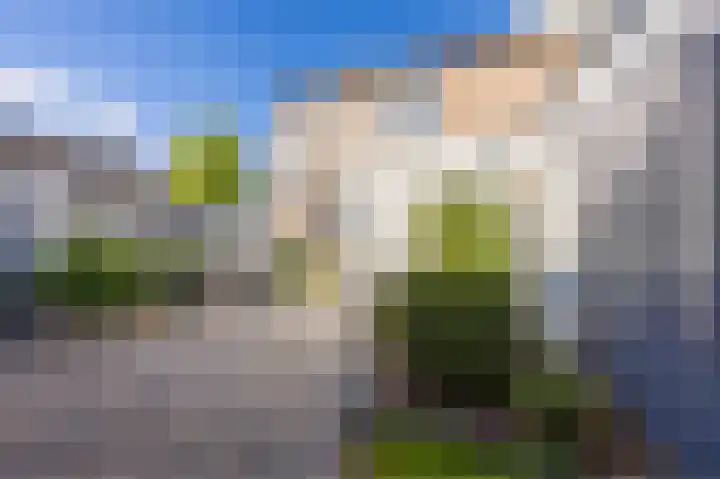 Perelaar 1 Veghel thumbnail 5