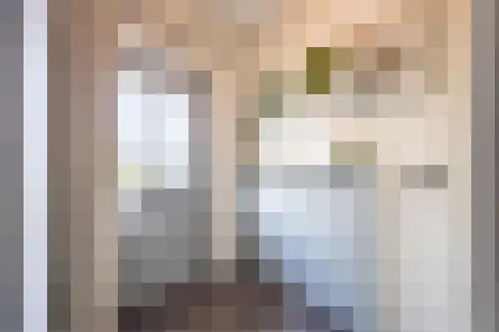 Perelaar 1 Veghel thumbnail 7