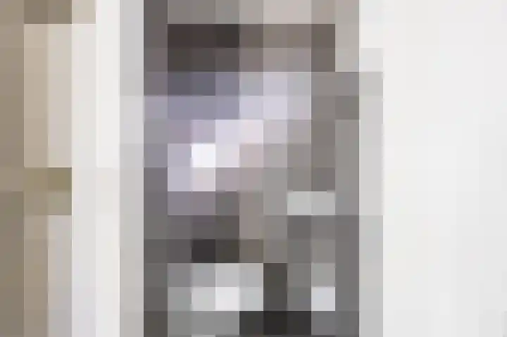 Perelaar 1 Veghel thumbnail 8