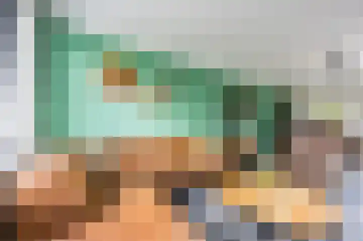 Perelaar 1 Veghel thumbnail 9