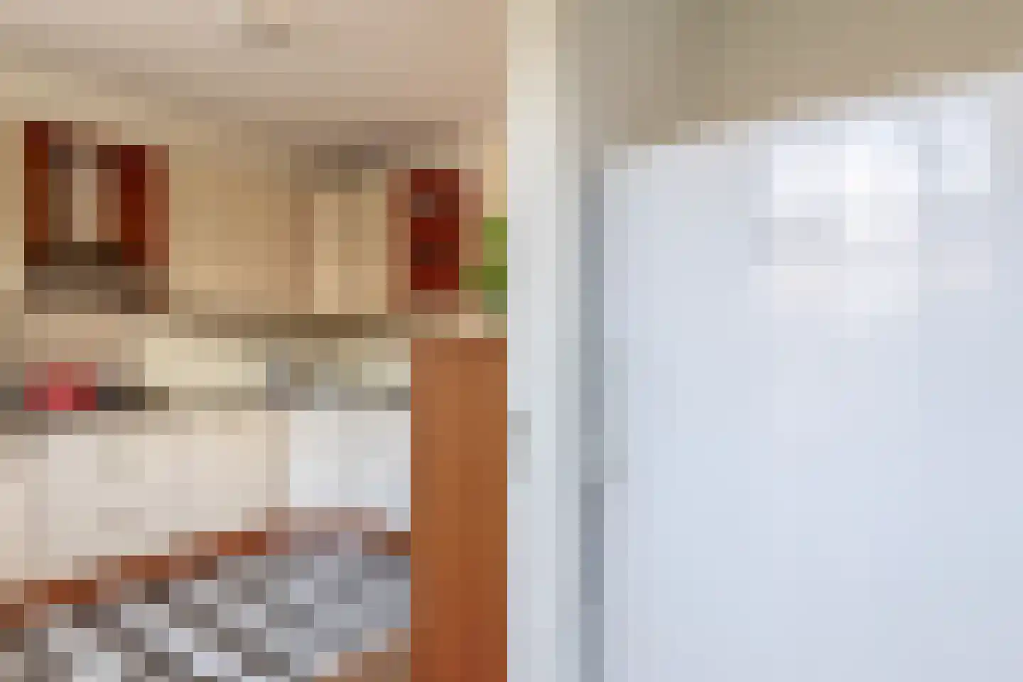 Perelaar 20 Veghel thumbnail 12