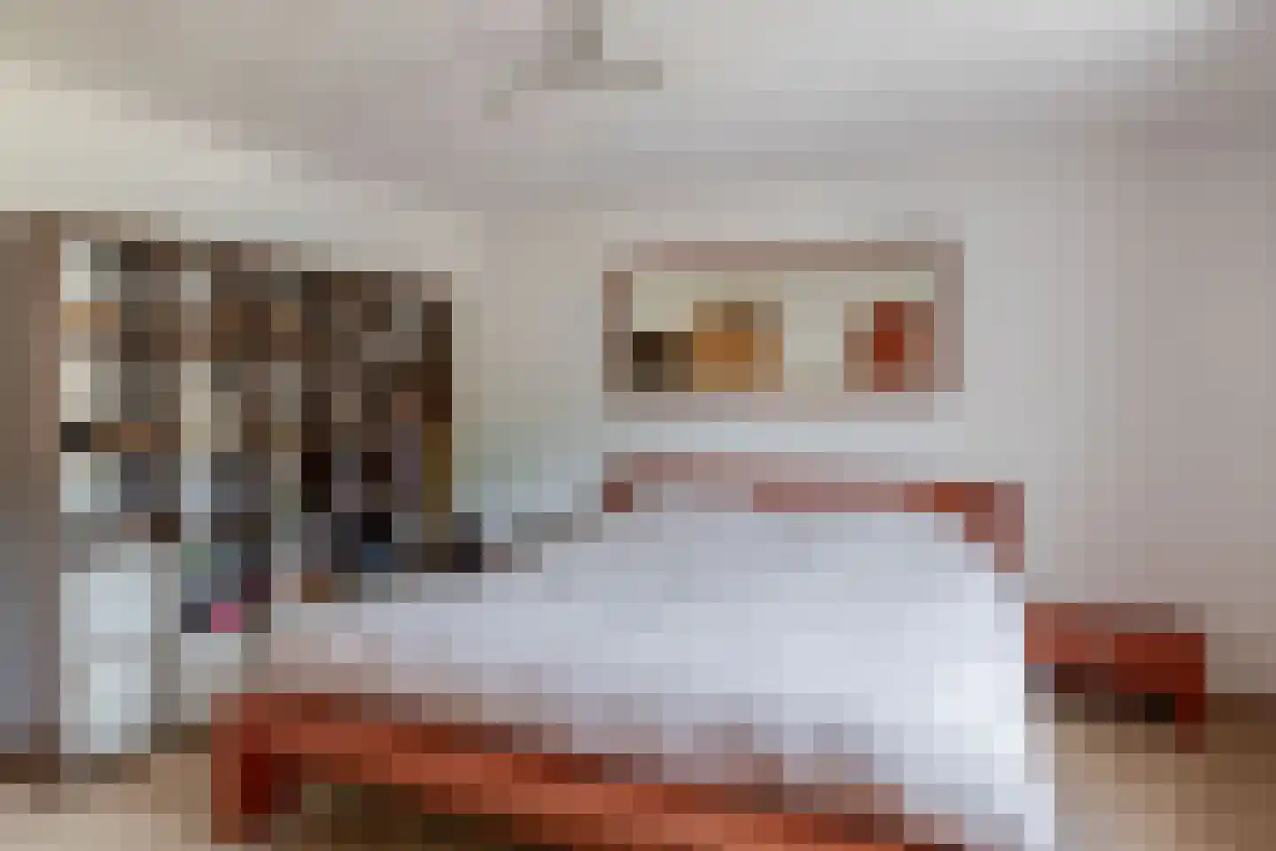 Perelaar 20 Veghel thumbnail 23