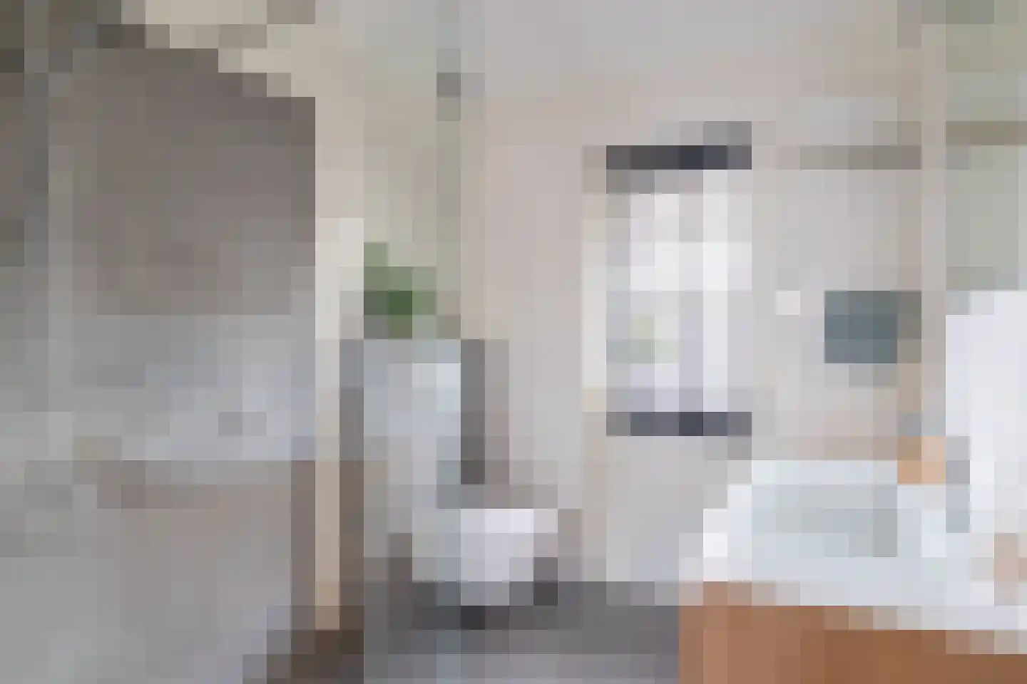 Perelaar 20 Veghel thumbnail 27