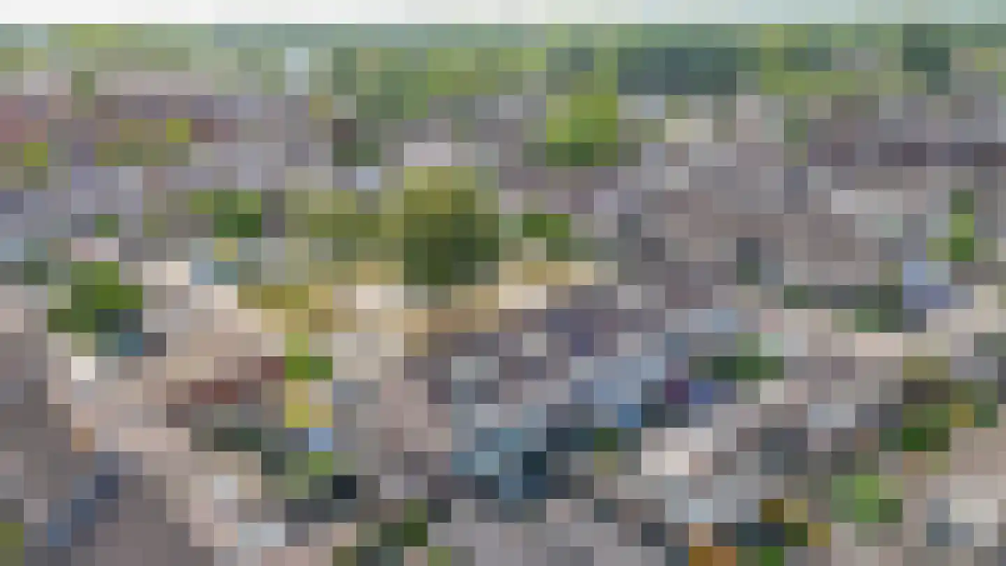 Perelaar 20 Veghel thumbnail 46