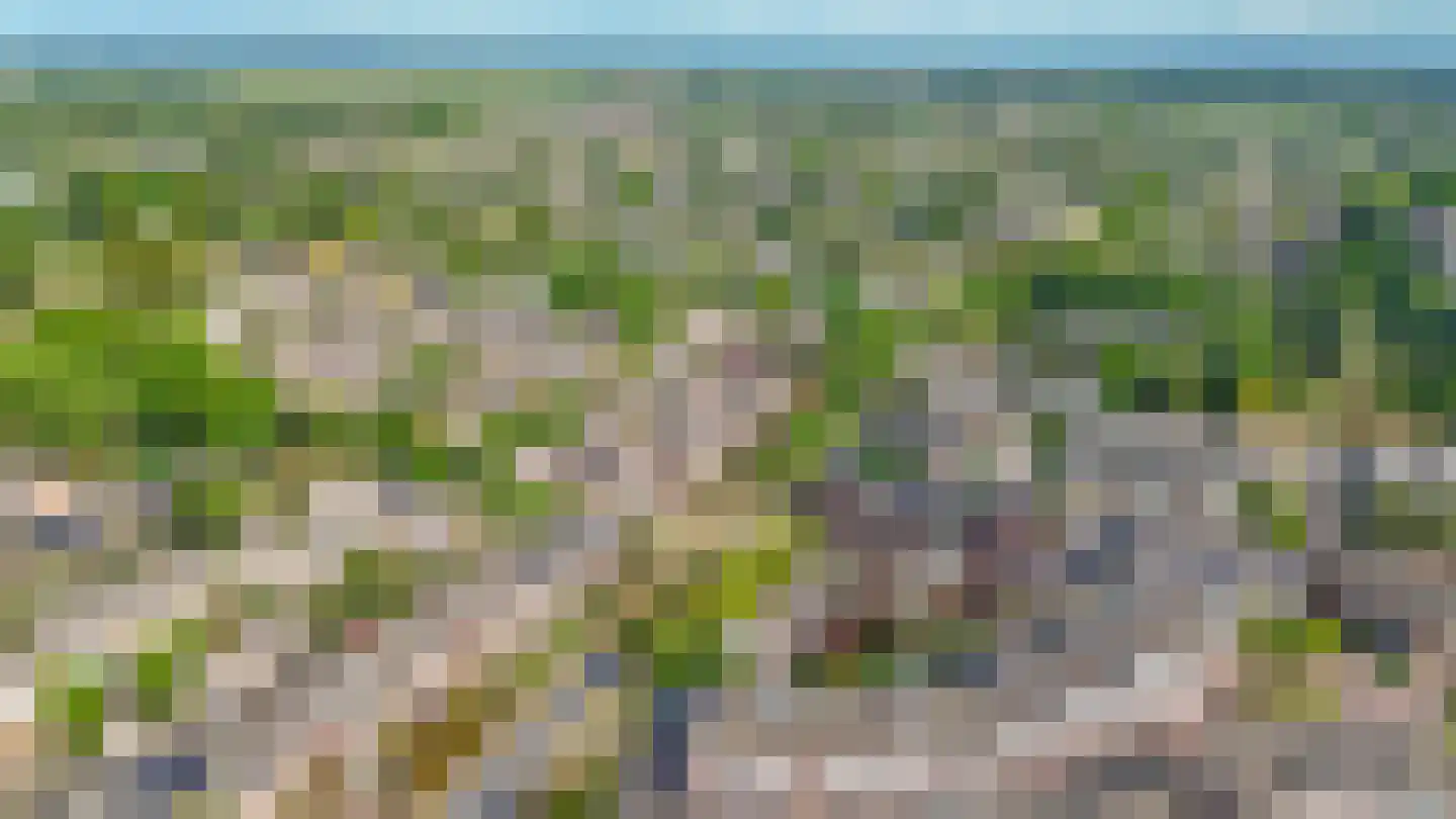 Perelaar 20 Veghel thumbnail 55