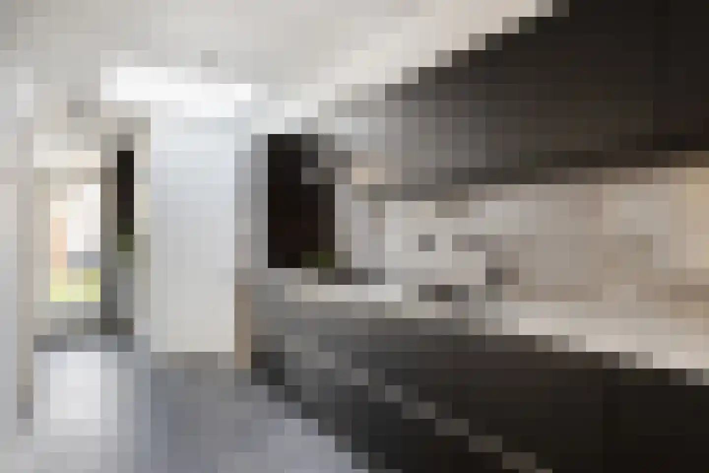 Perelaar 21 Geldrop thumbnail 20