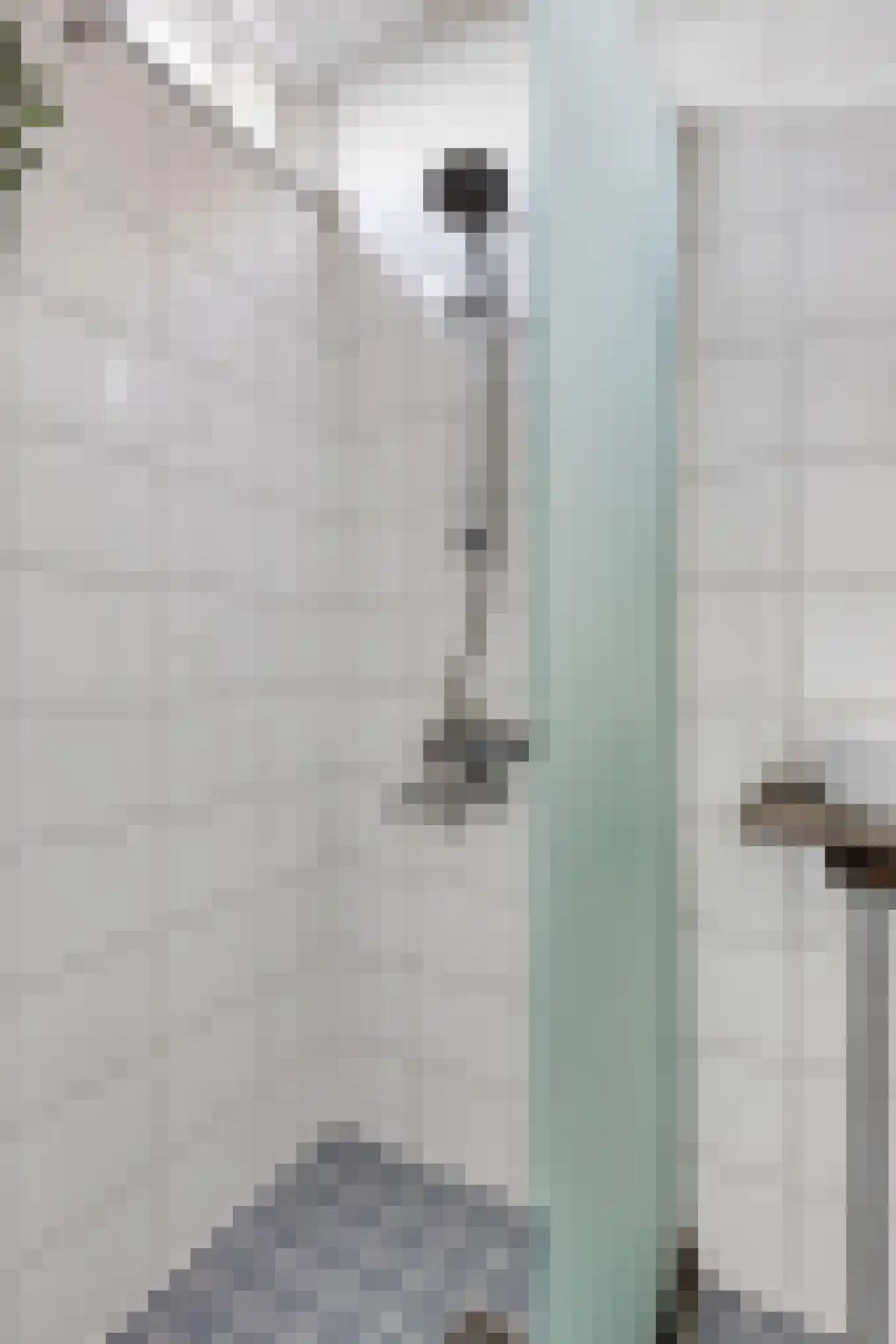 Perelaar 21 Geldrop thumbnail 27