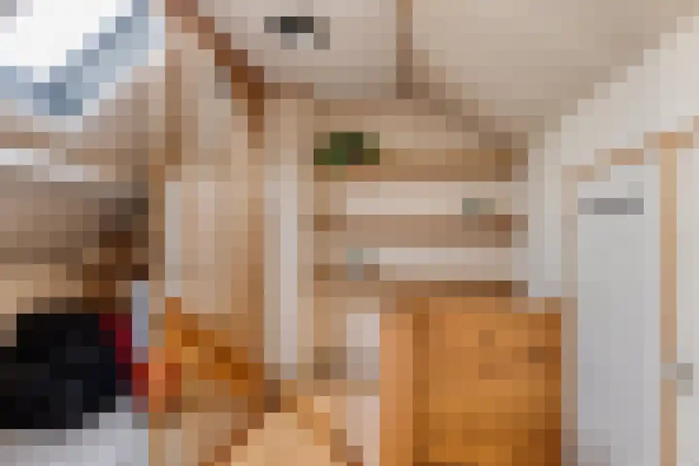 Perelaar 21 Geldrop thumbnail 42