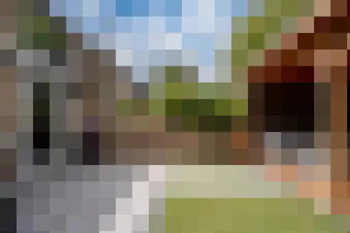 Perenbongerd 2 Huissen thumbnail 13