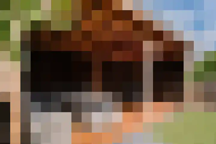 Perenbongerd 2 Huissen thumbnail 15