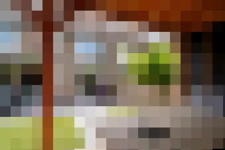 Perenbongerd 2 Huissen thumbnail 16