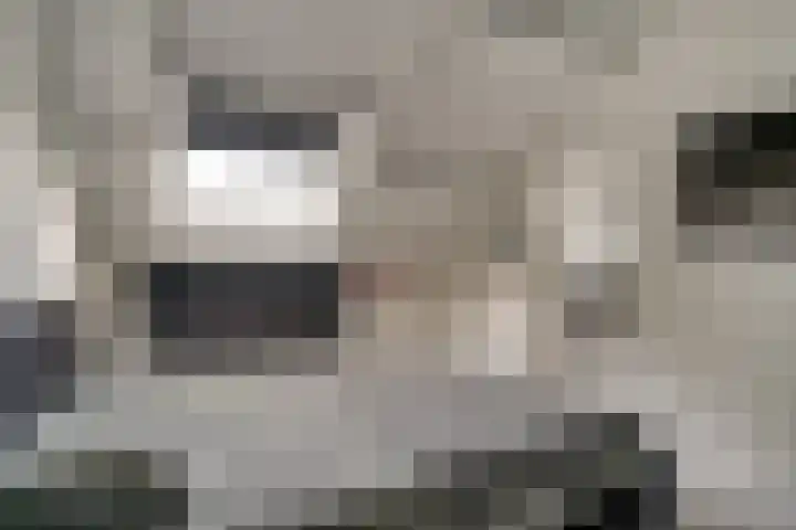 Perenbongerd 2 Huissen thumbnail 21