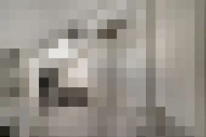 Perenbongerd 2 Huissen thumbnail 22