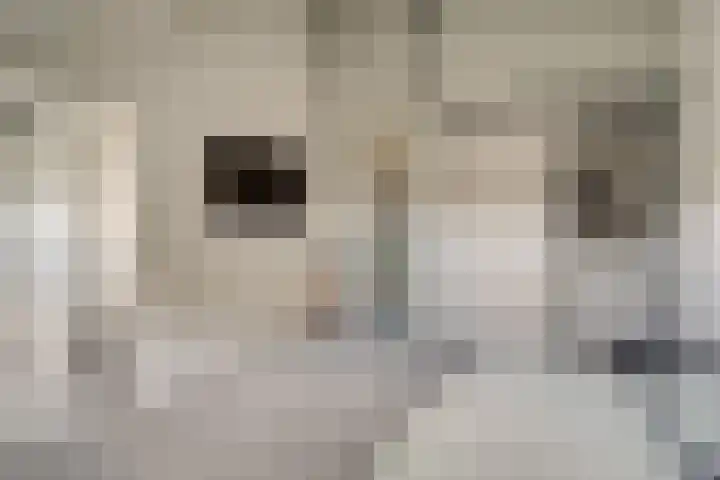 Perenbongerd 2 Huissen thumbnail 24