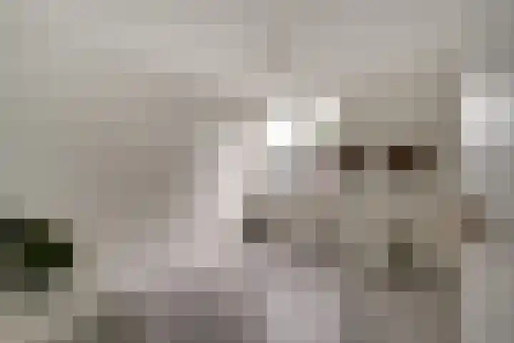 Perenbongerd 2 Huissen thumbnail 27