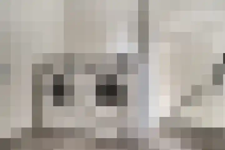Perenbongerd 2 Huissen thumbnail 32