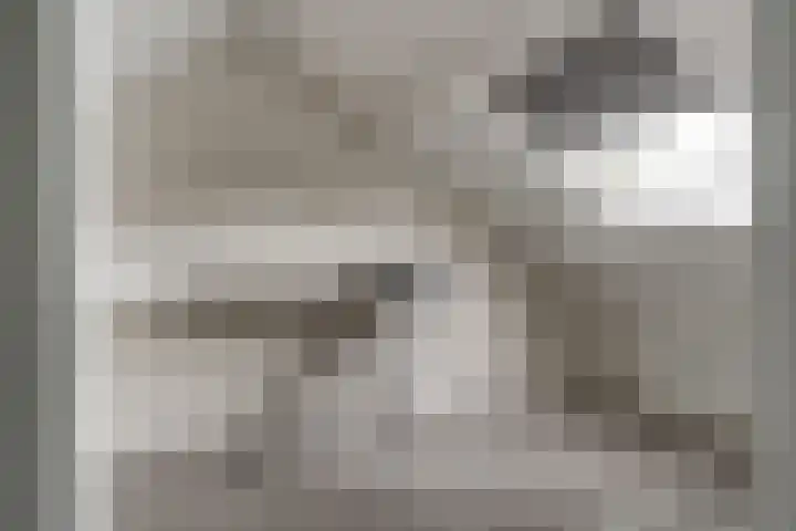 Perenbongerd 2 Huissen thumbnail 33