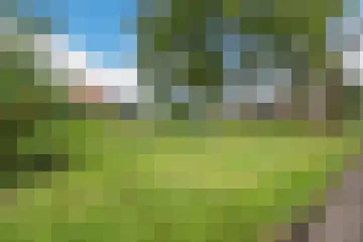 Perenbongerd 2 Huissen thumbnail 36