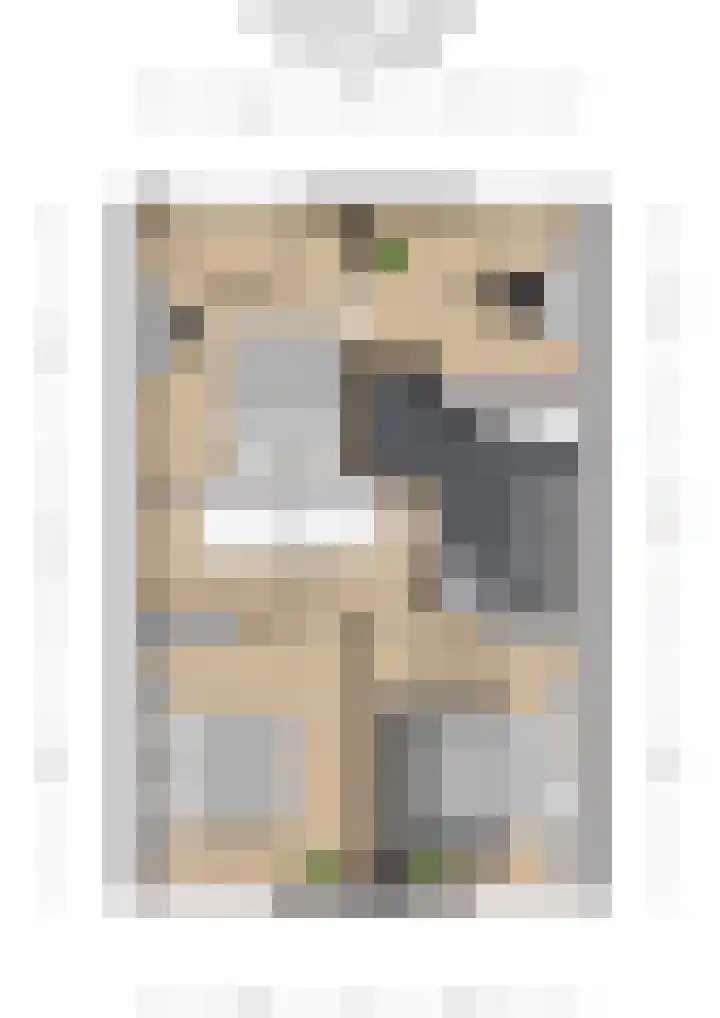 Perenbongerd 2 Huissen thumbnail 38