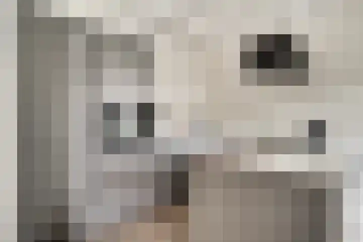 Perenbongerd 2 Huissen thumbnail 4
