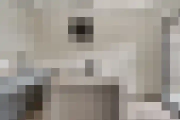 Perenbongerd 2 Huissen thumbnail 5