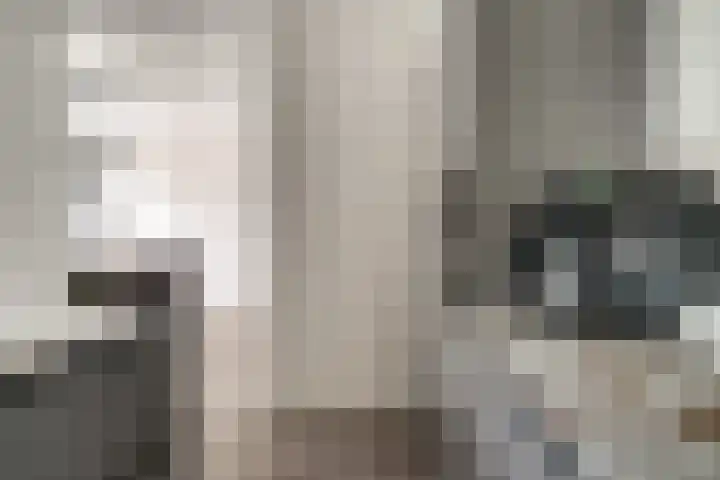 Perenbongerd 2 Huissen thumbnail 6