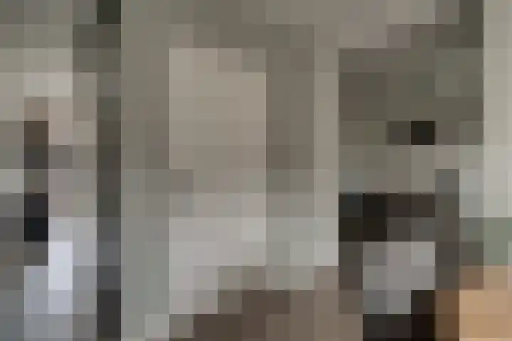Perenbongerd 2 Huissen thumbnail 8