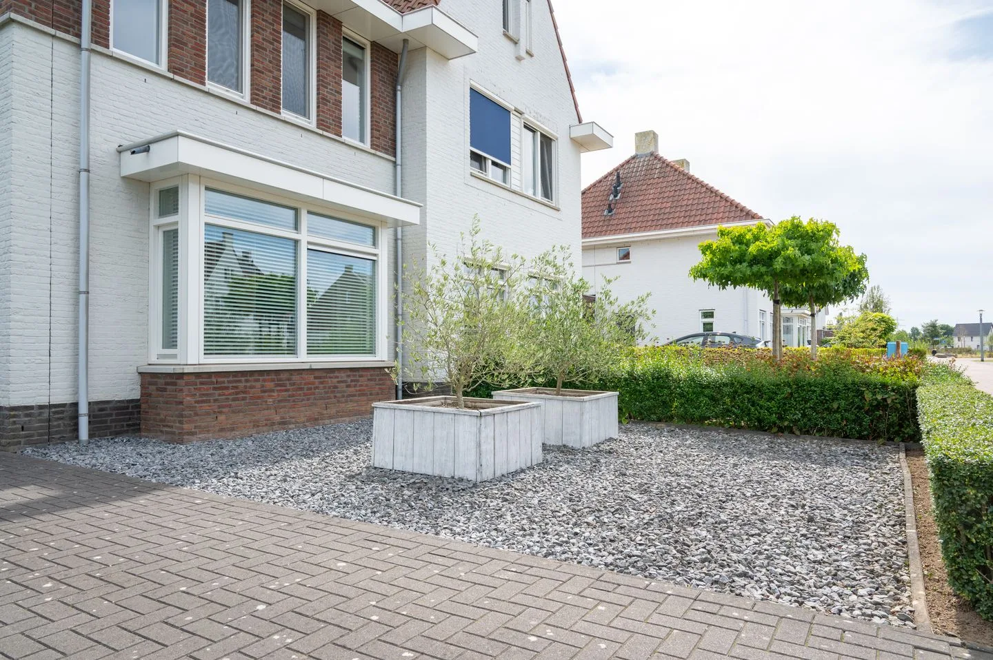 Perenboom 1 Cuijk thumbnail 47