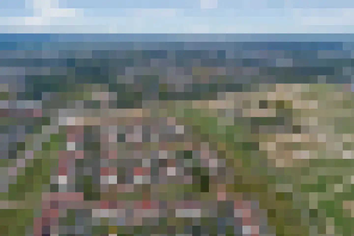 Perenboom 12 Cuijk thumbnail 10