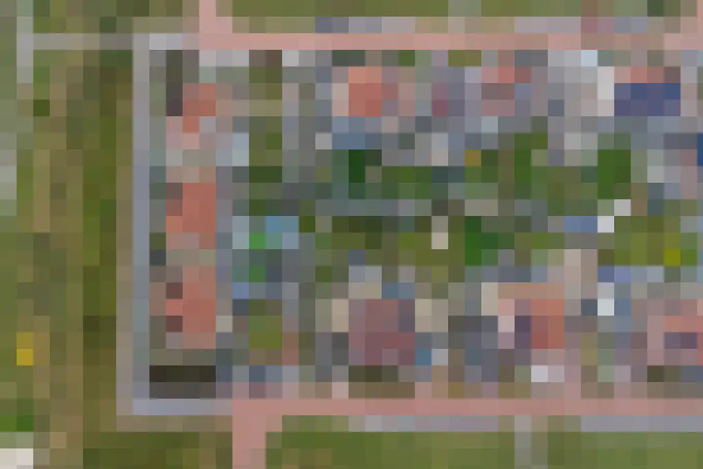 Perenboom 12 Cuijk thumbnail 11