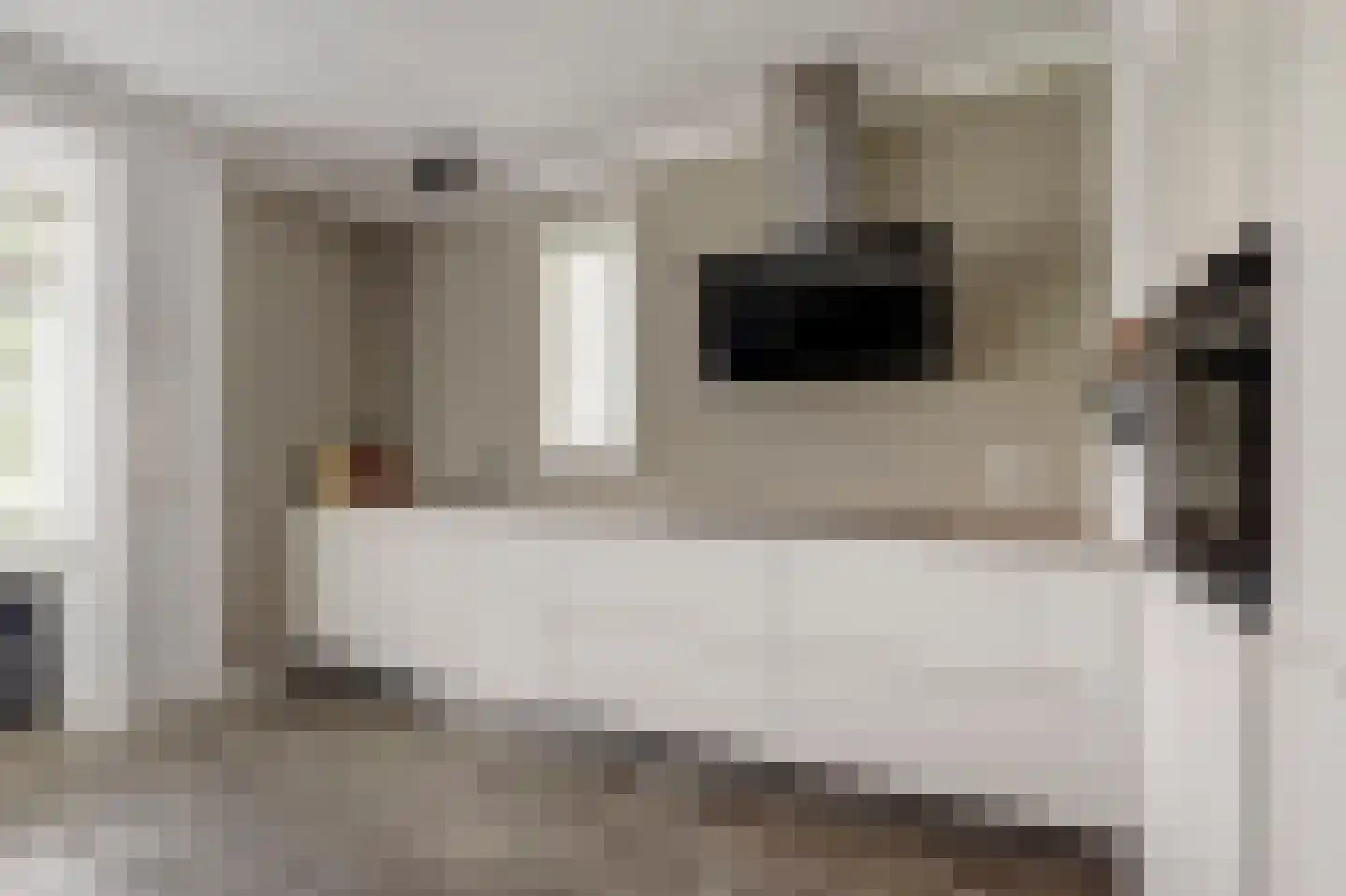 Perenboom 12 Cuijk thumbnail 16