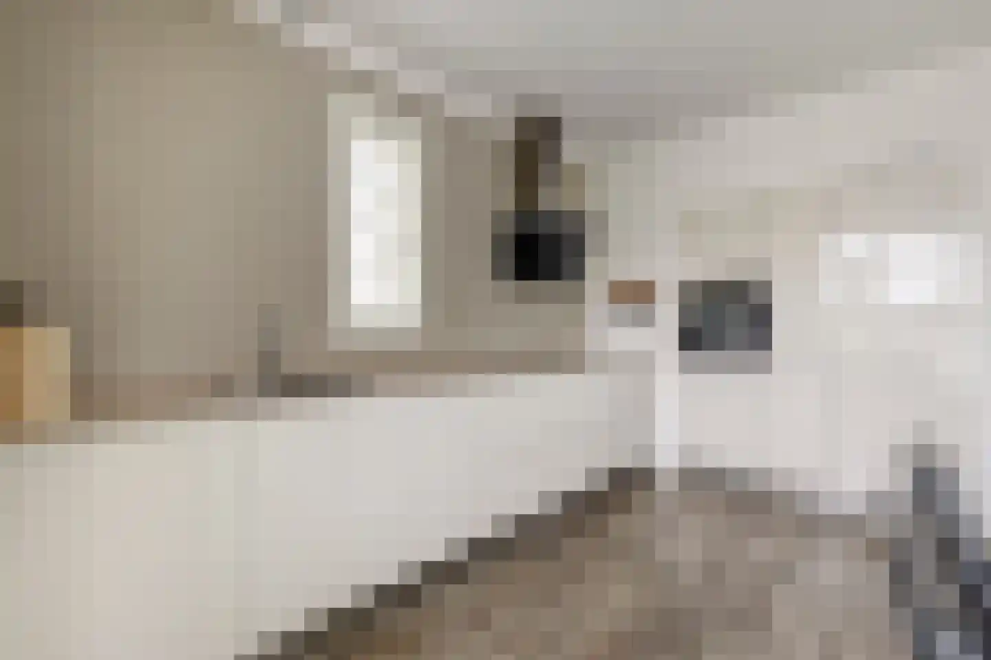 Perenboom 12 Cuijk thumbnail 17