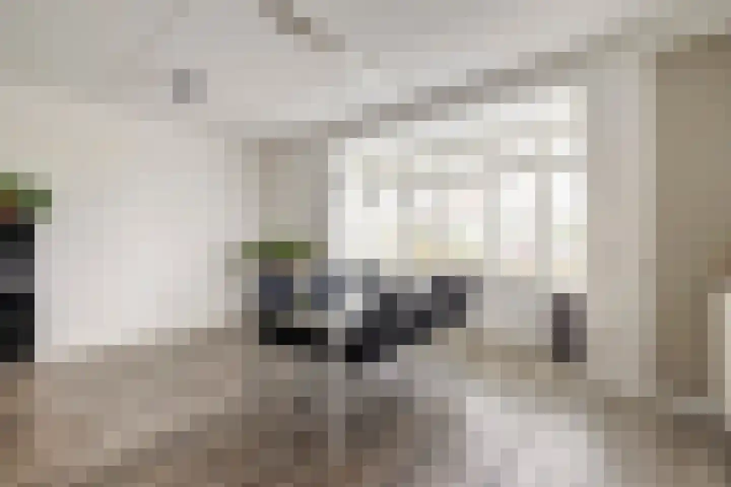 Perenboom 12 Cuijk thumbnail 18