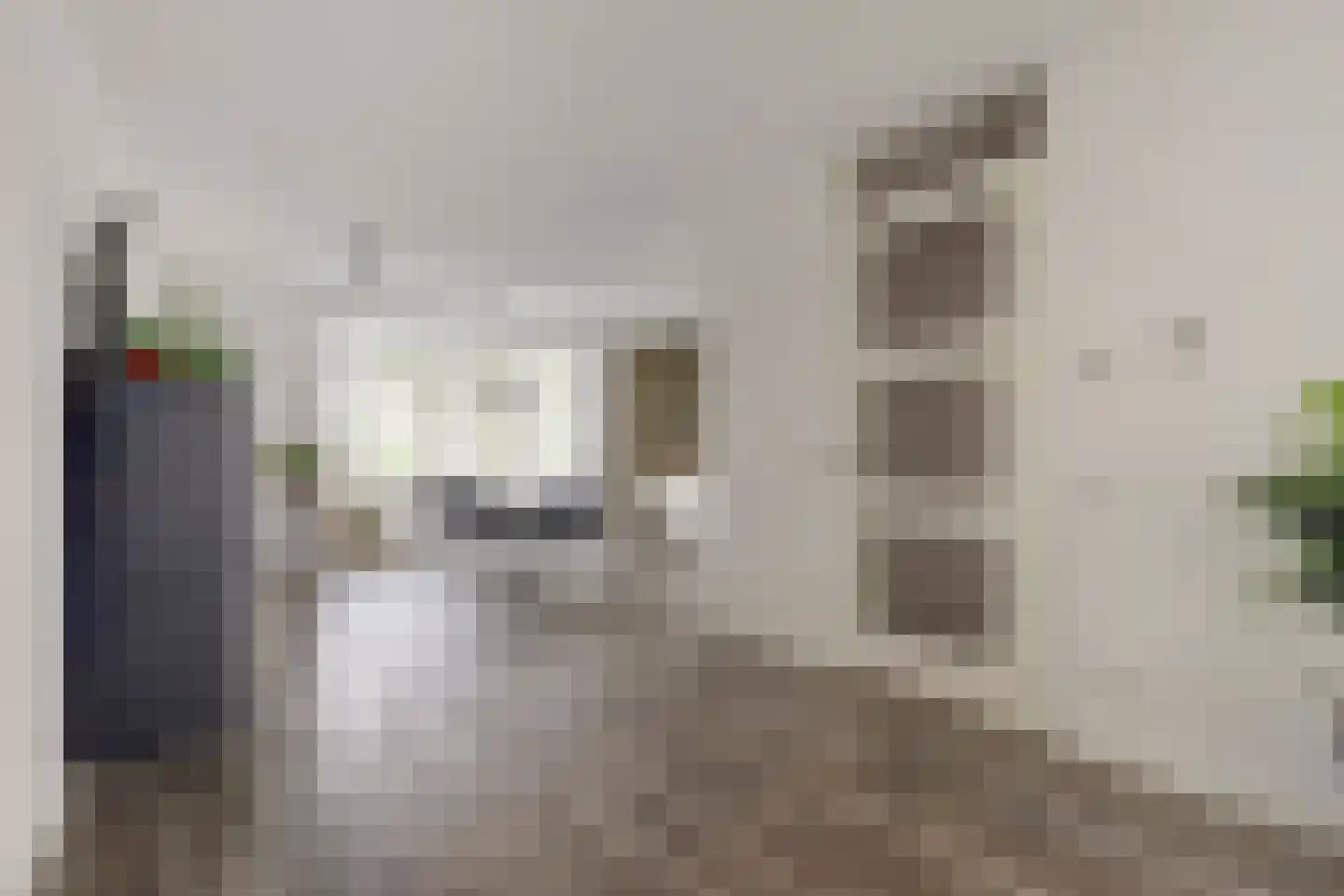 Perenboom 12 Cuijk thumbnail 19