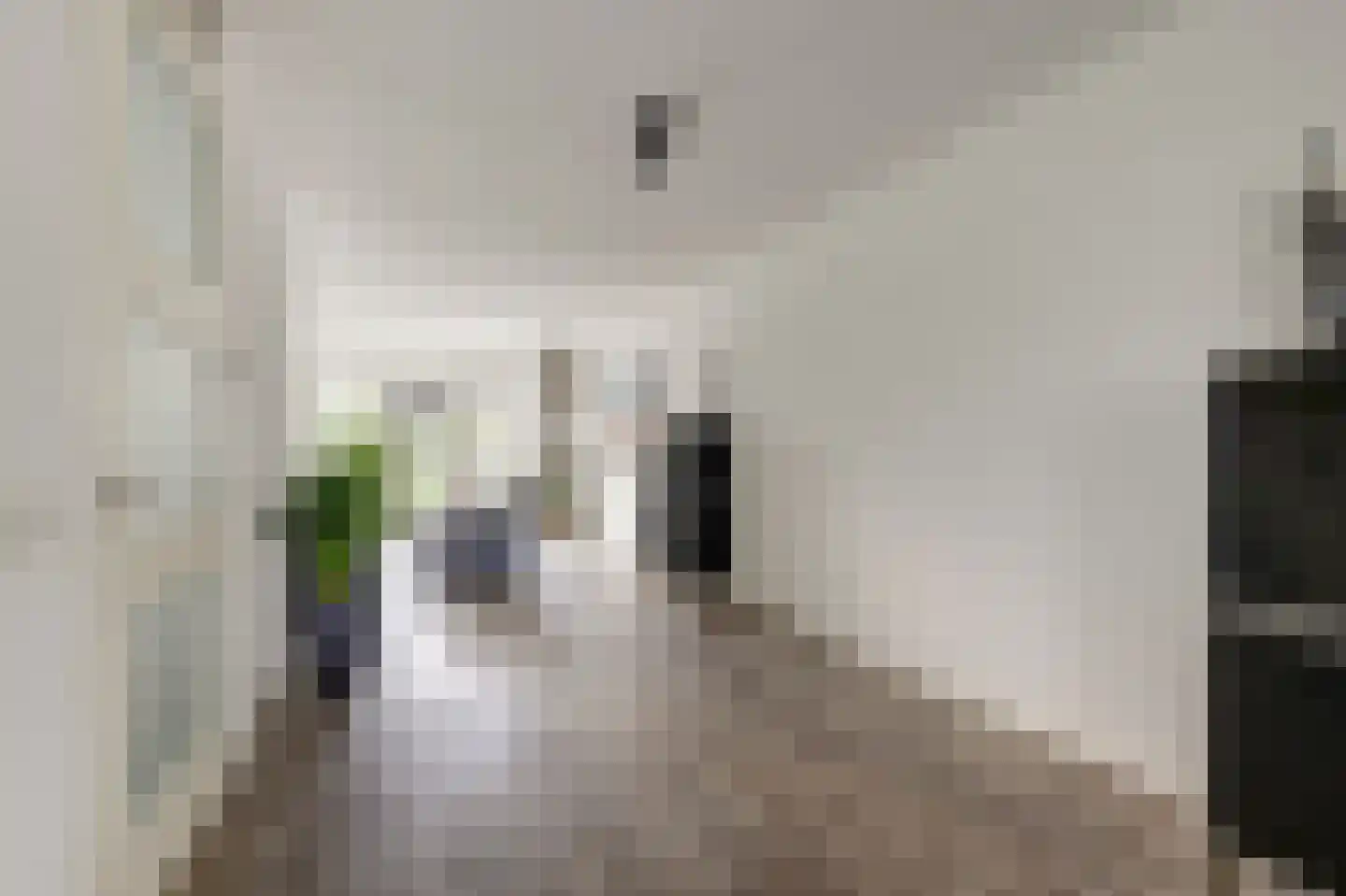 Perenboom 12 Cuijk thumbnail 20