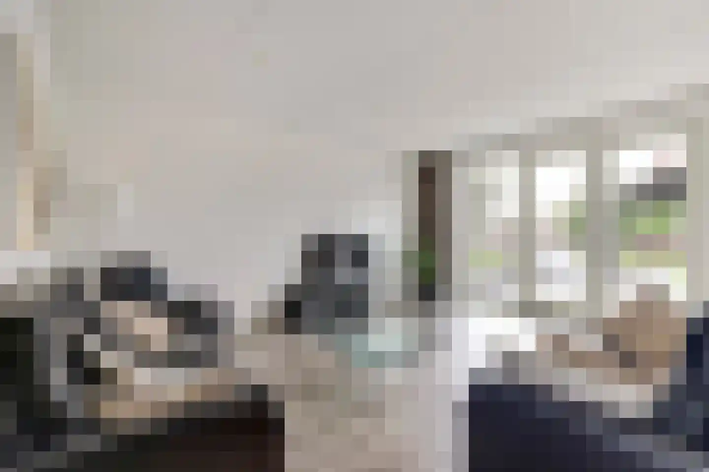 Perenboom 12 Cuijk thumbnail 21