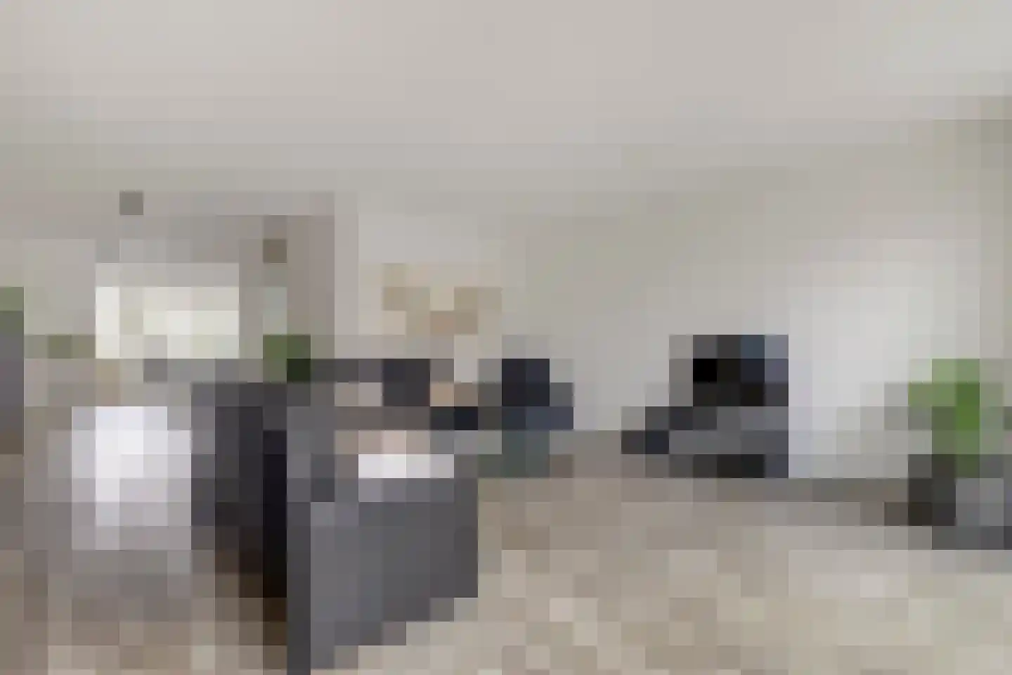 Perenboom 12 Cuijk thumbnail 22