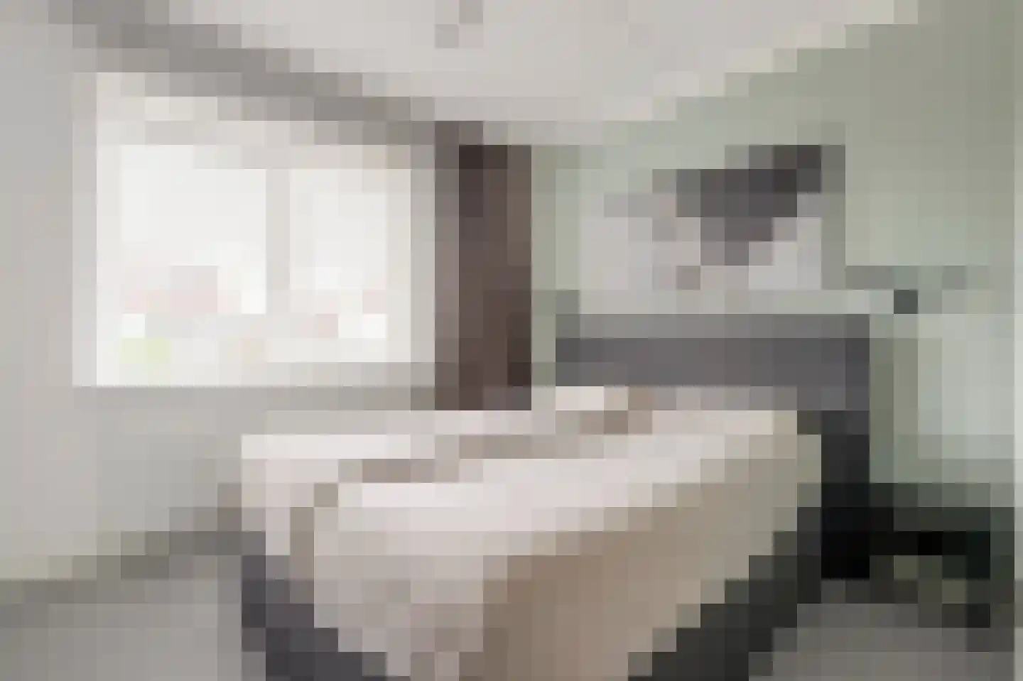 Perenboom 12 Cuijk thumbnail 25