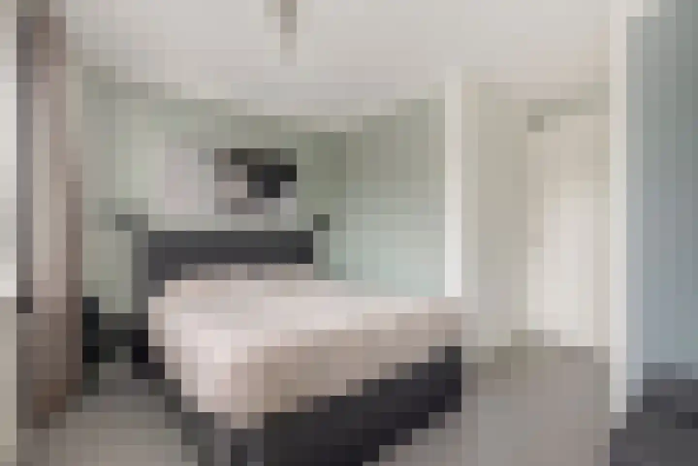 Perenboom 12 Cuijk thumbnail 26
