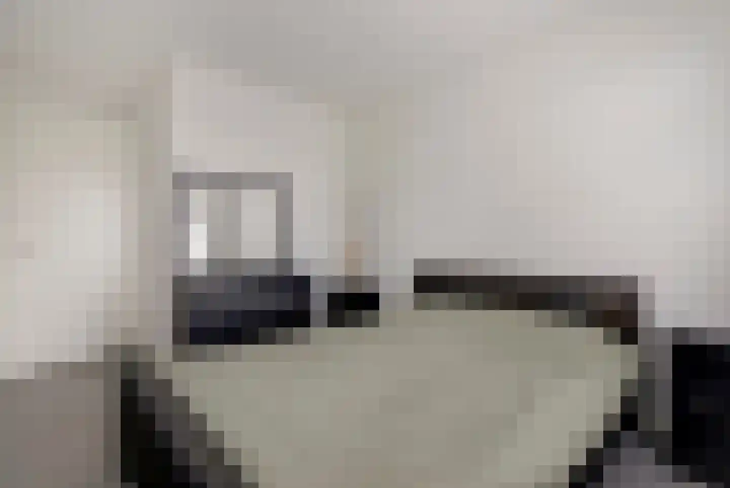 Perenboom 12 Cuijk thumbnail 32