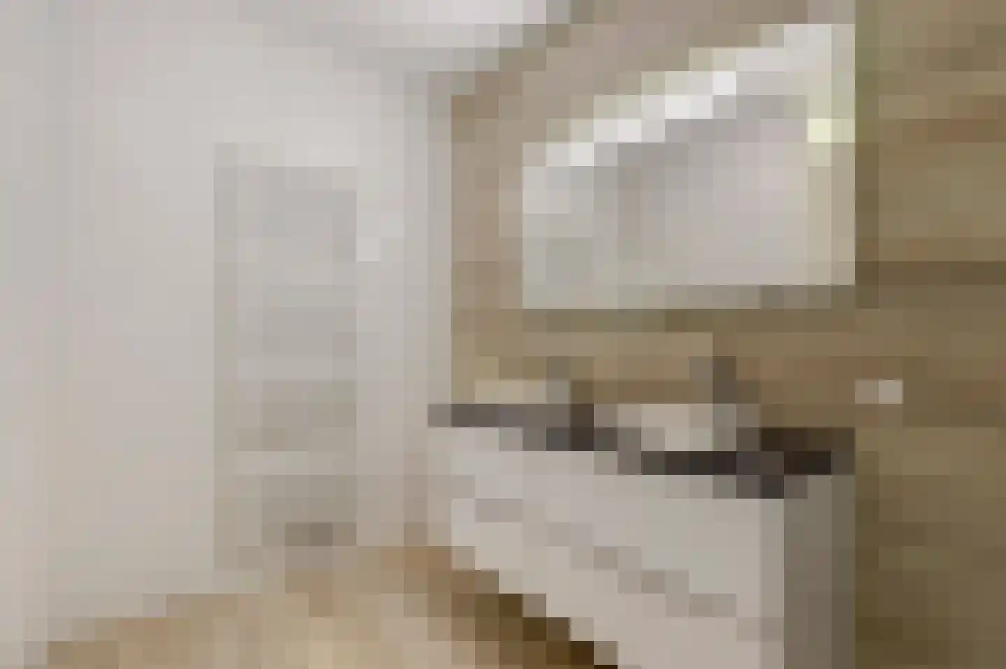 Perenboom 12 Cuijk thumbnail 36