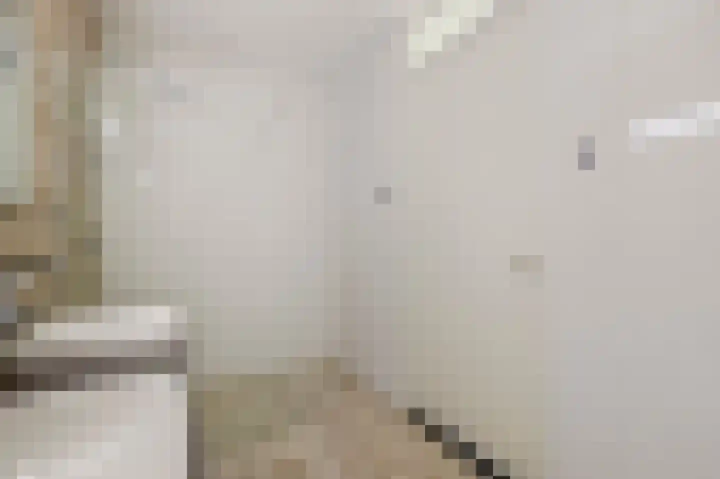 Perenboom 12 Cuijk thumbnail 37