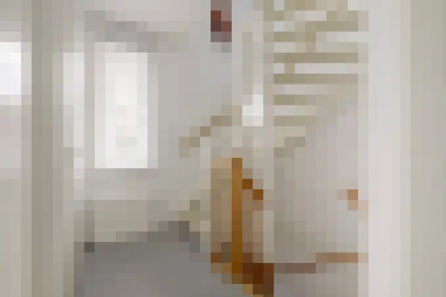 Perenboom 12 Cuijk thumbnail 39