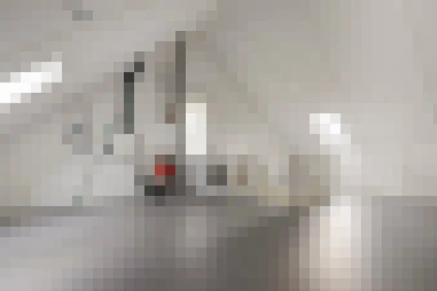 Perenboom 12 Cuijk thumbnail 40